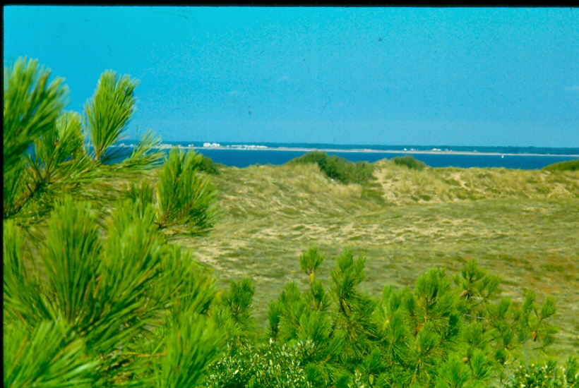 ref=dune2