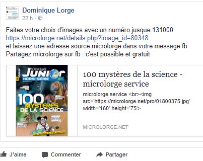 https://facebook.com/microlorge2