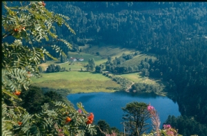 ref=paysages=auvergne