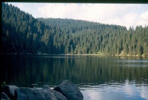 ref=lac=vosges