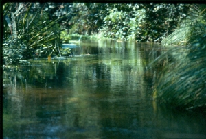 ref=vue=ancienmaraispoitevin