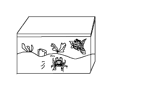 ref=aquarium ref=aquarium