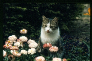 ref=minette2